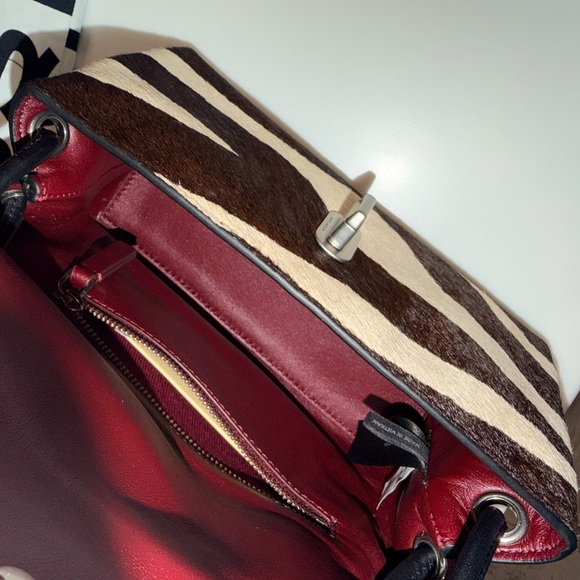 Zebra Mini Dual (RARE) - Picture 3 of 3